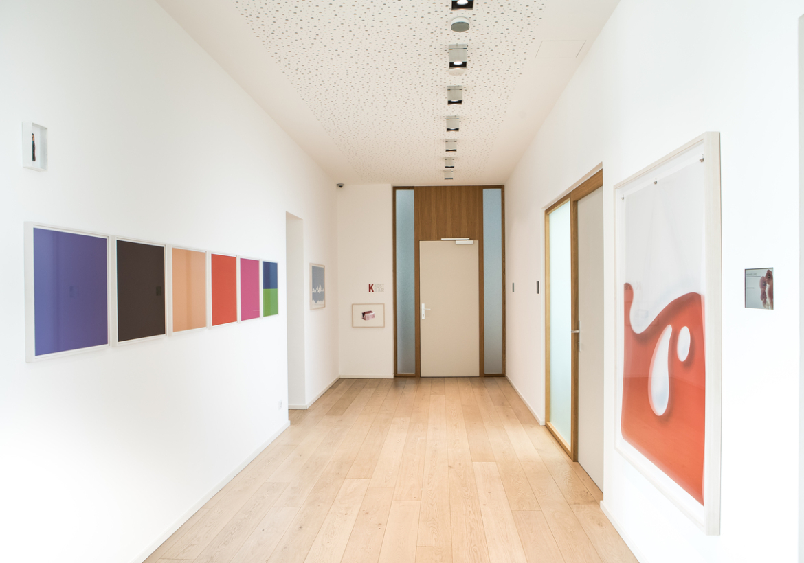 Ausstellungsansicht SCHAU....5 mit Werken von Rozbeh Asmani, Foto: Gernot Gleiss 