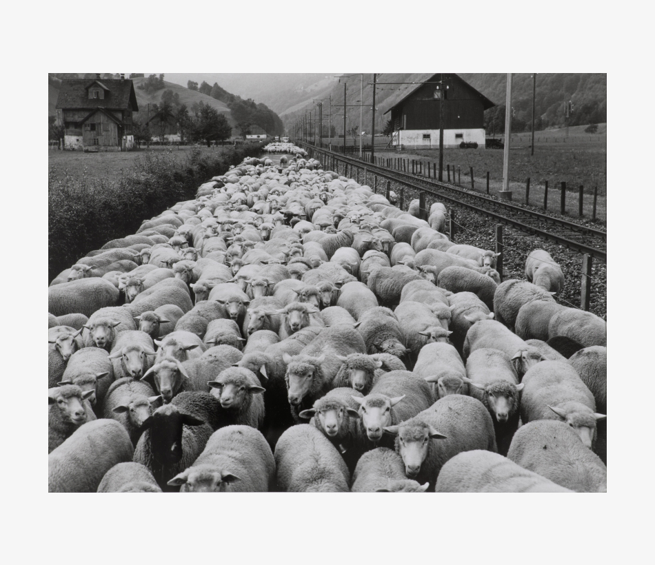 © Arnold Odermatt