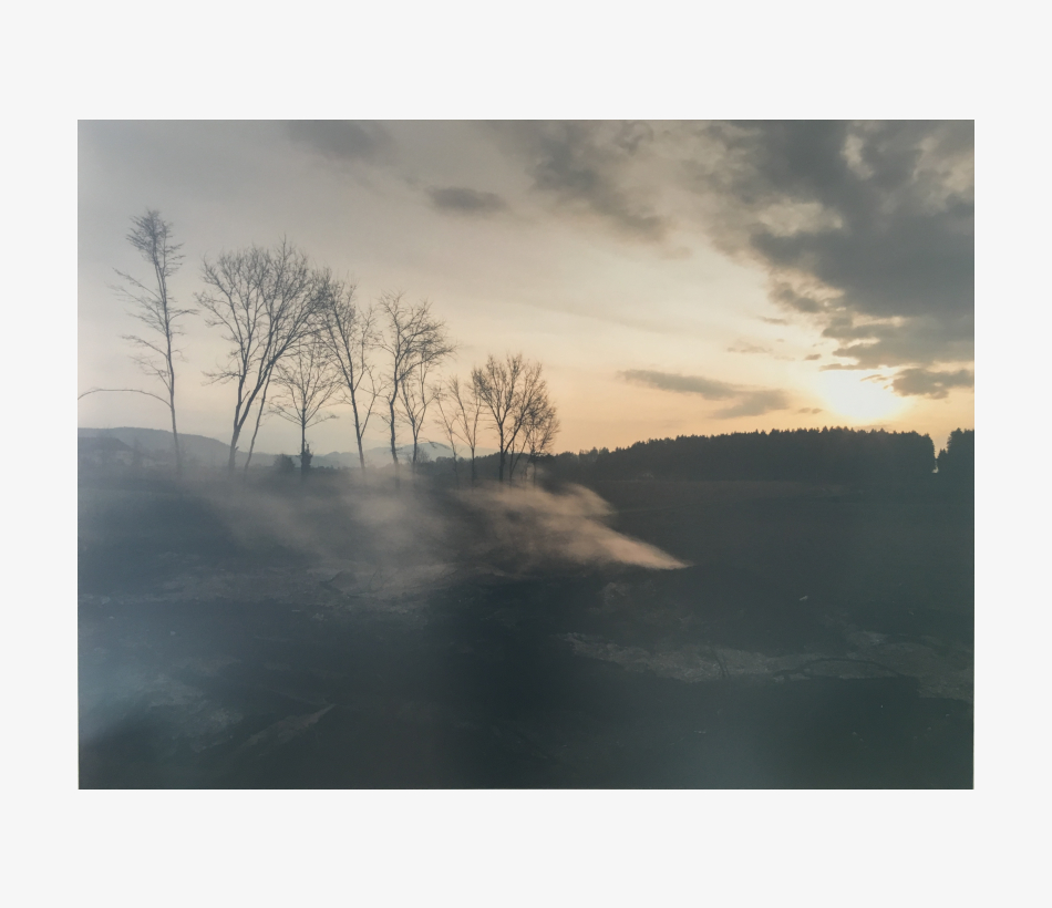 © Arnold Pöschl
