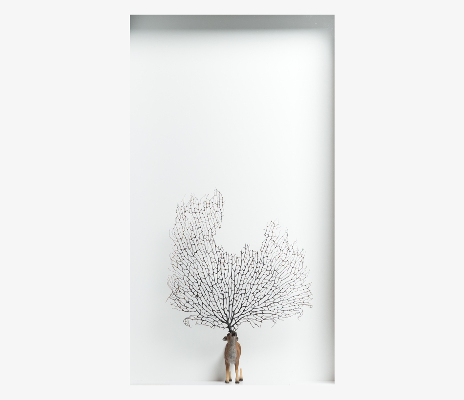 © Brandy Brandstätter