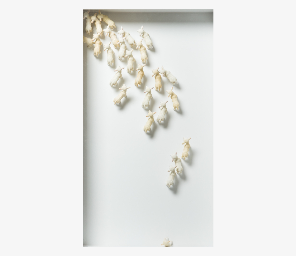 © Brandy Brandstätter