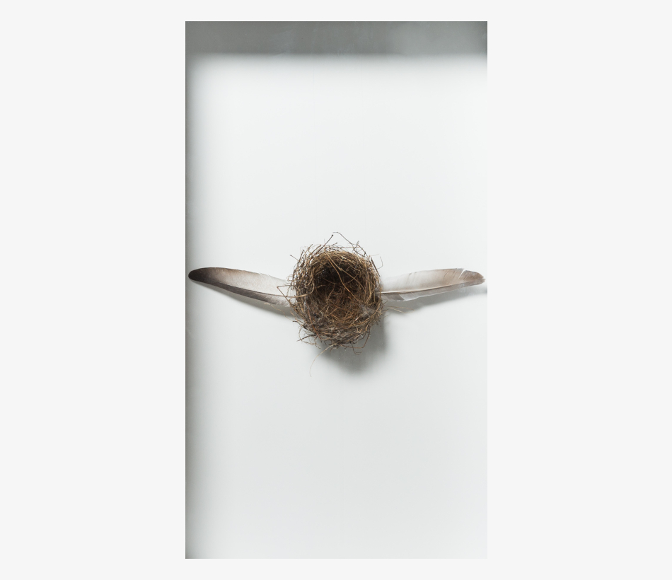 © Brandy Brandstätter