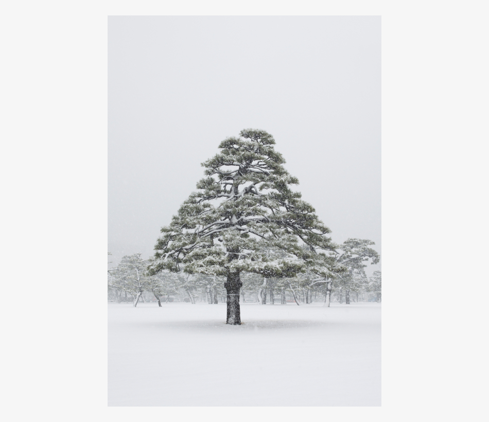 © Jens Liebchen