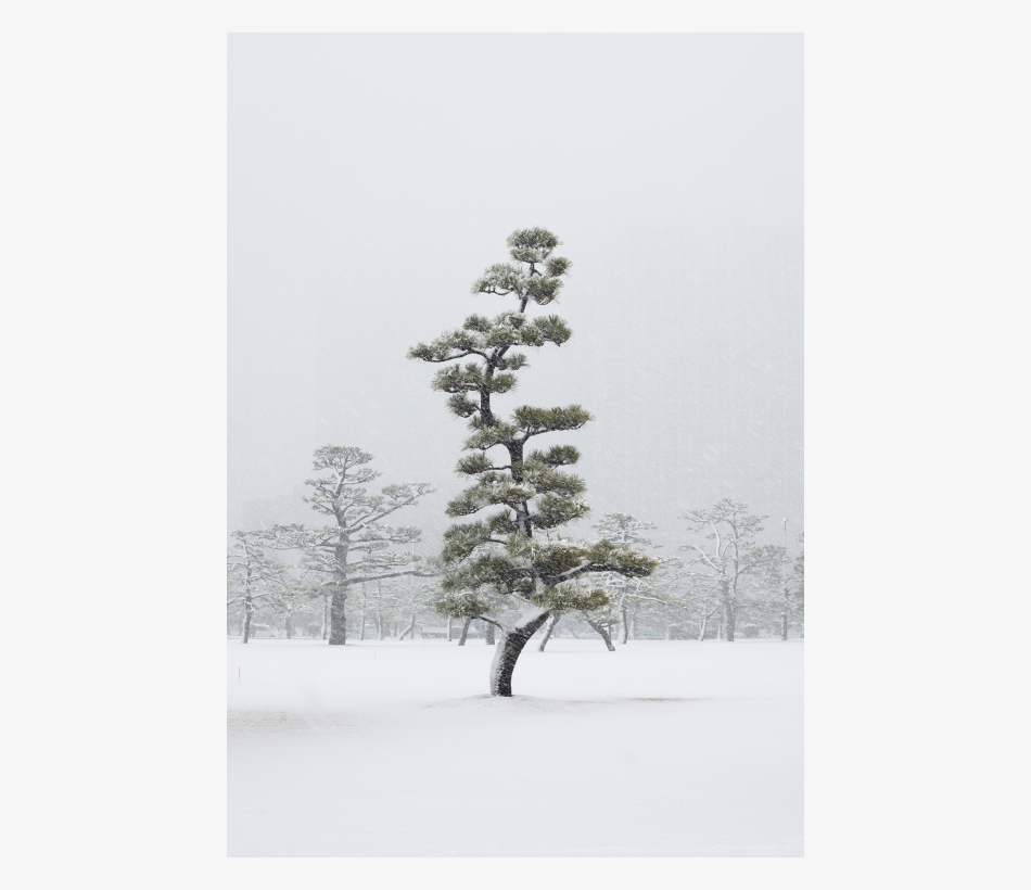 © Jens Liebchen