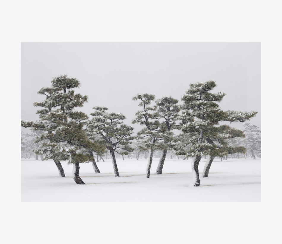 © Jens Liebchen