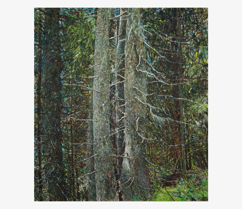 © Markus Orsini-Rosenberg