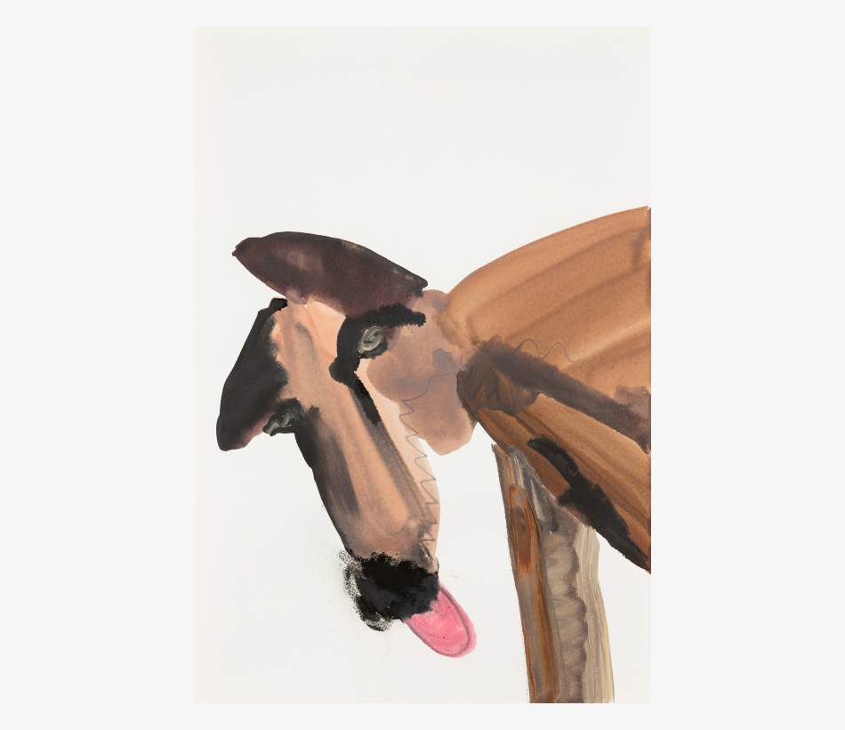 © Megan Rooney