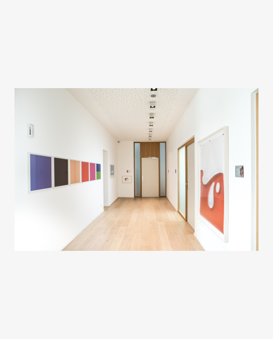 Ausstellungsansicht SCHAU....5 mit Werken von Rozbeh Asmani, Foto: Gernot Gleiss 