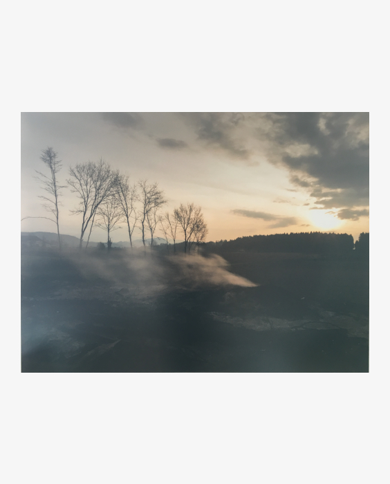 © Arnold Pöschl