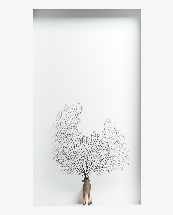 © Brandy Brandstätter