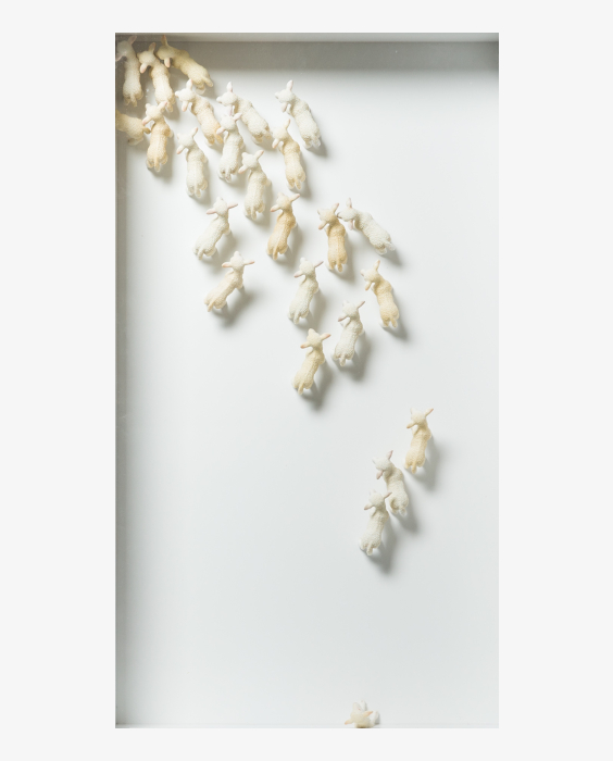 © Brandy Brandstätter