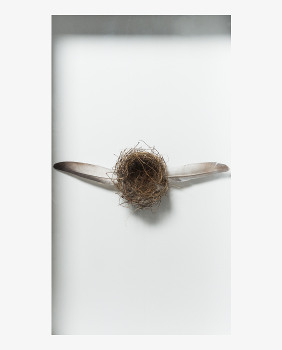 © Brandy Brandstätter