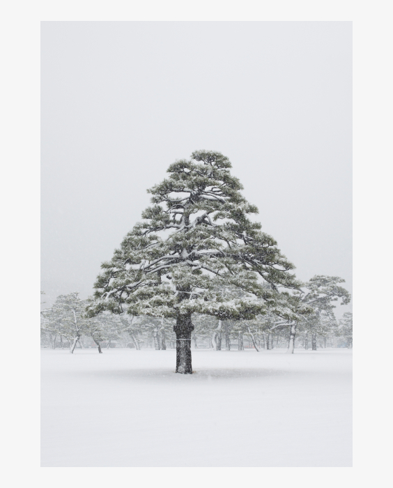 © Jens Liebchen