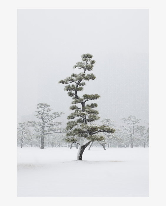 © Jens Liebchen