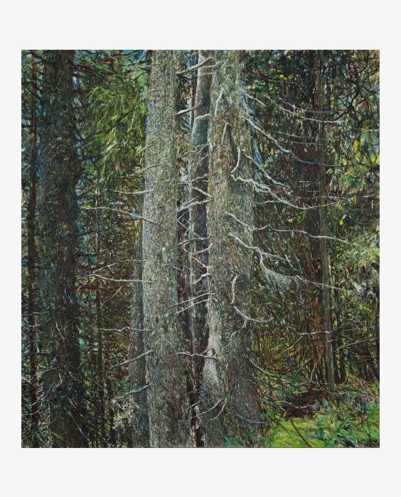 © Markus Orsini-Rosenberg