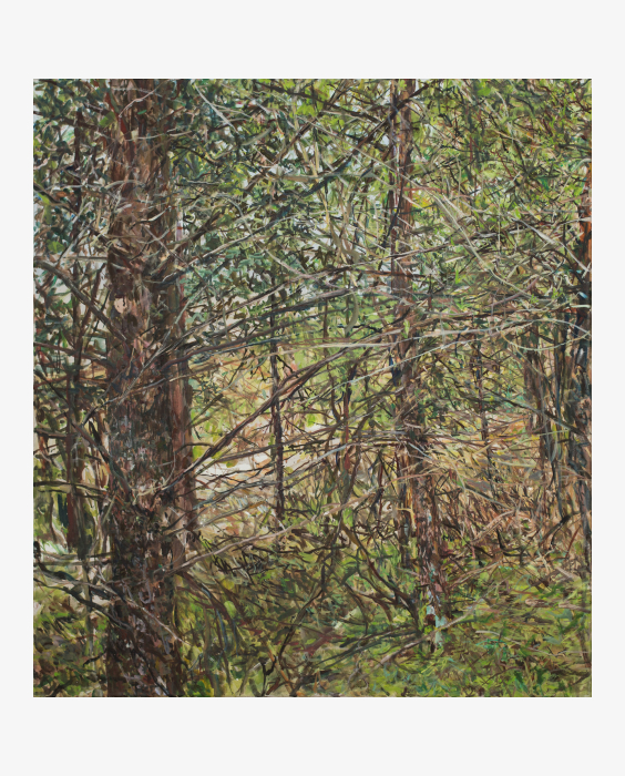 © Markus Orsini-Rosenberg