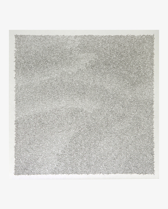 © Sophie Dvořák